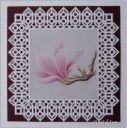 Filename=06-magnolia-W.jpg
Filesize=235KiB
Dimensions=650x651
Date added=May 02, 2015 06-magnolia-W.jpg