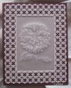 Filename=gosia-aster.JPG
Filesize=266KiB
Dimensions=487x600
Date added=Sep 08, 2014 gosia-aster.JPG